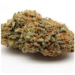 Шишки AK47  (Гидропоника, Бошка) VHQ в Камене-на-Оби